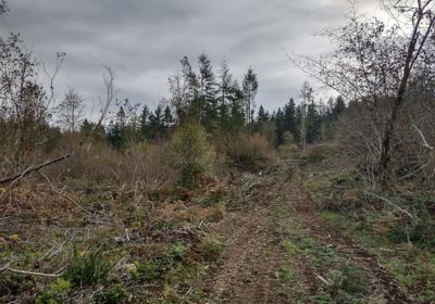 IMG 20231031 135920892 HDR