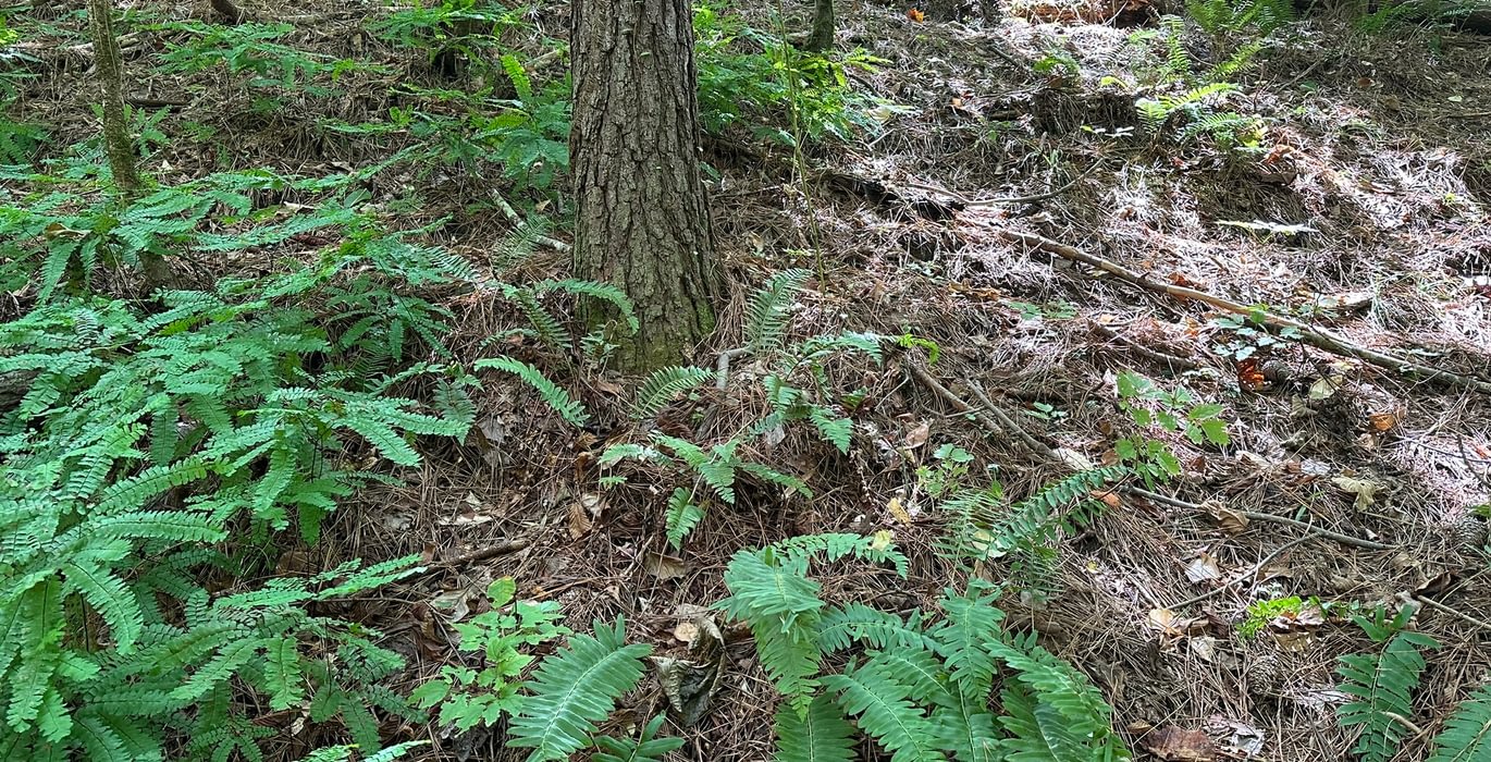 IMG 3411