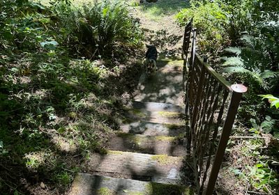 IMG 3561