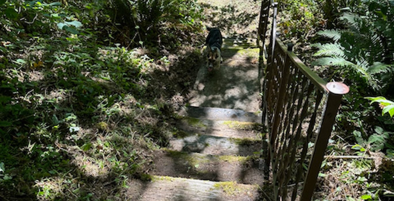 IMG 3561