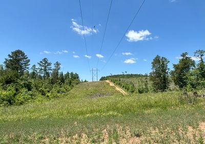 IMG 39841