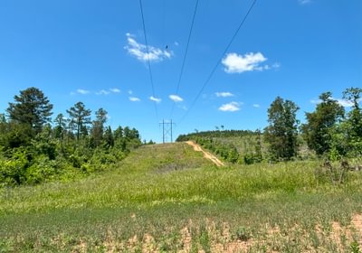 IMG 3989
