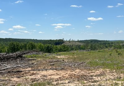 IMG 3993