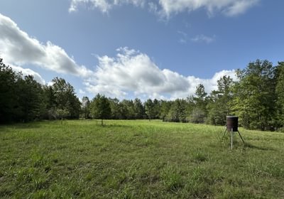 IMG 4470