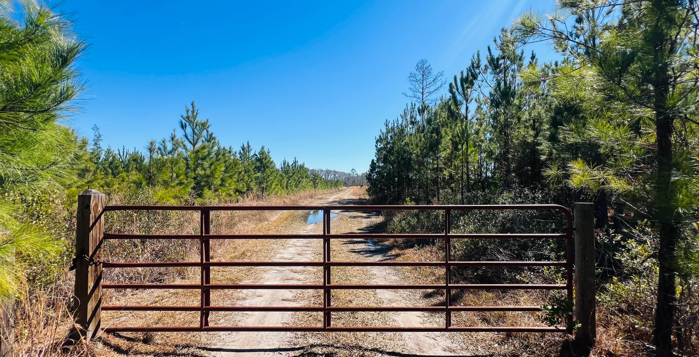 Photo 4 of Horse Creek North, 247 acres, Telfair County, Georgia