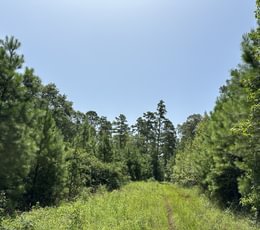 IMG 4710