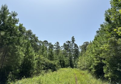 IMG 4710
