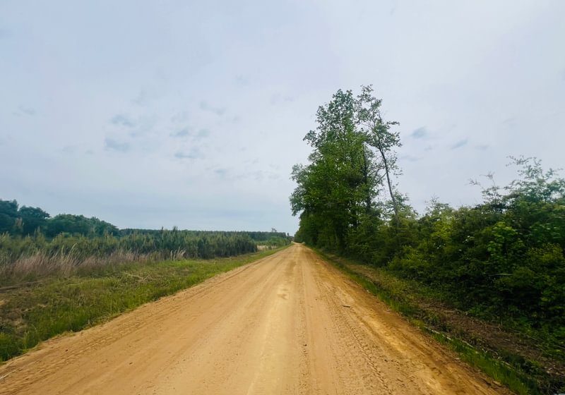 Photo 7 of Lakeway Tract, 48.06 acres, Laurens County, Georgia