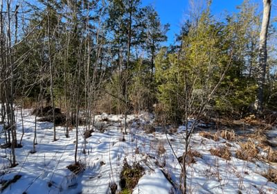 IMG 7087