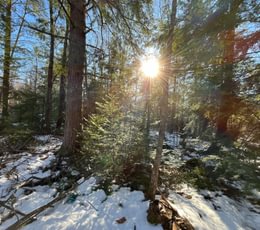 IMG 7091