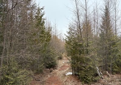 IMG 7954