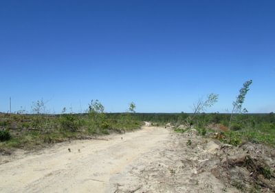 IMG 9329