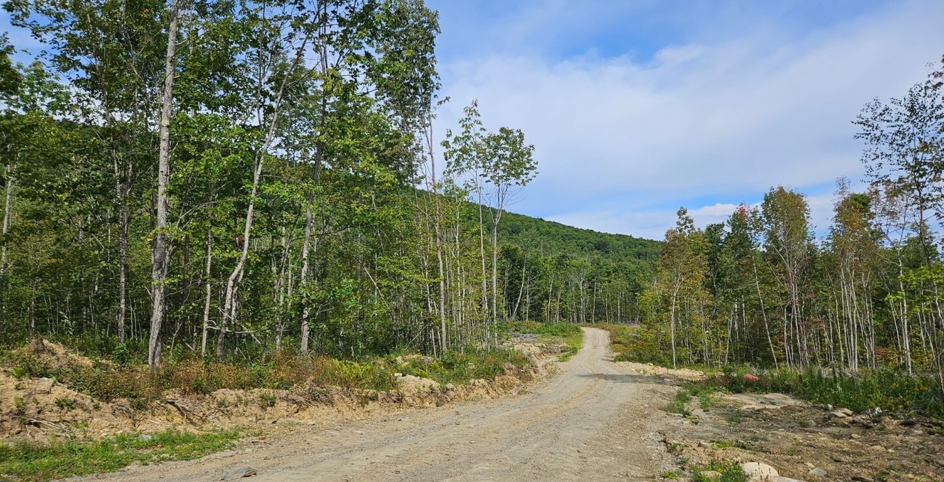 Internal road looking west