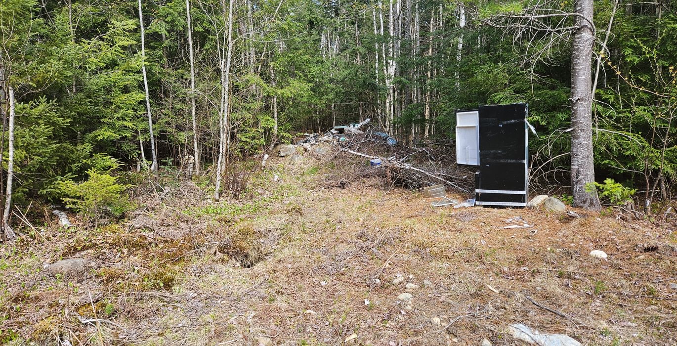Junk on property