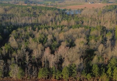 ME Sav Hwy Aerial 55