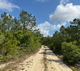 Mud Hill 3