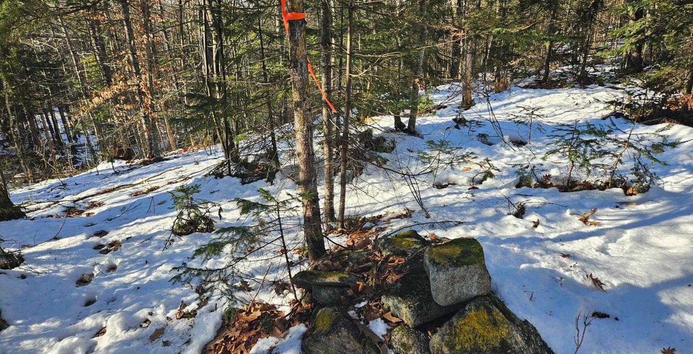 Northeast corner pin