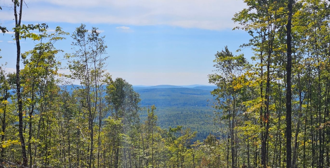 Northeast view