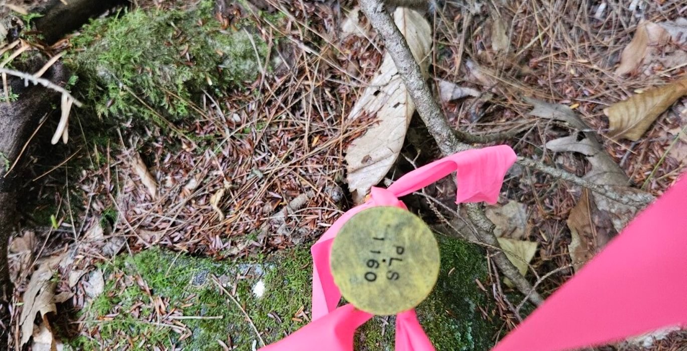Northwest corner pin along access road