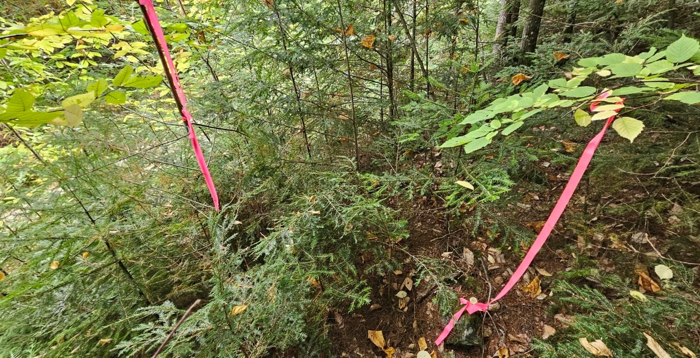 Northwest corner pin