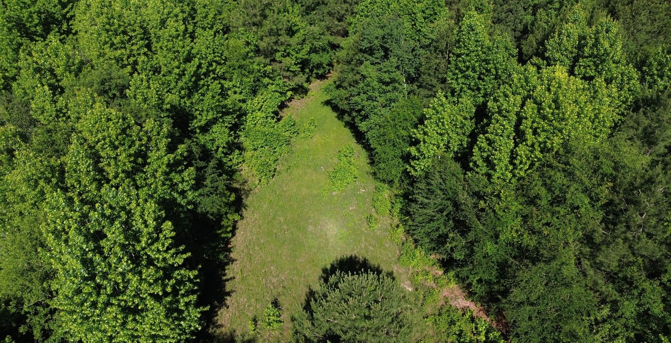 P Self DJI 0339