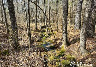 Photo Mar 15 2023 4 04 24 PM