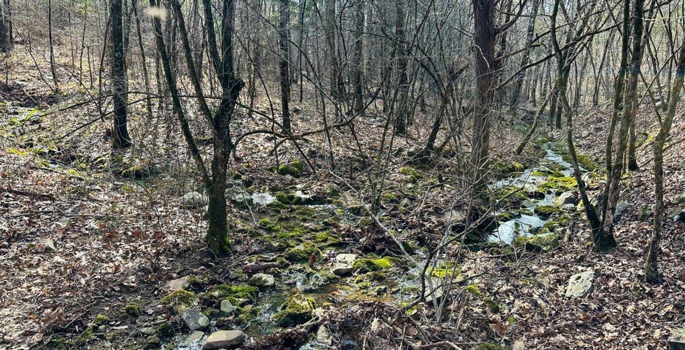 Photo Mar 15 2023 4 06 07 PM
