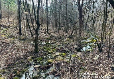 Photo Mar 15 2023 4 06 07 PM