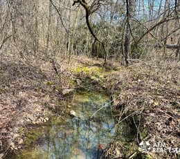 Photo Mar 15 2023 4 07 34 PM