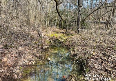 Photo Mar 15 2023 4 07 34 PM