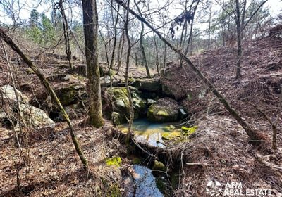 Photo Mar 15 2023 4 03 55 PM