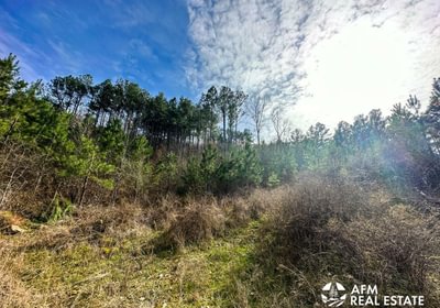 Photo Mar 15 2023 4 11 02 PM