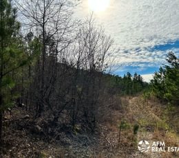 Photo Mar 15 2023 4 11 36 PM