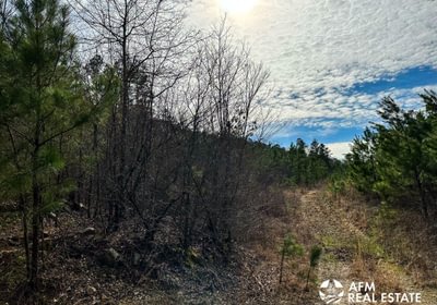 Photo Mar 15 2023 4 11 36 PM