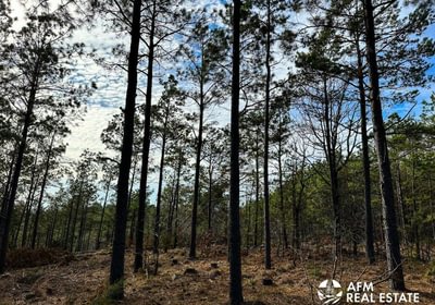Photo Mar 15 2023 4 57 18 PM