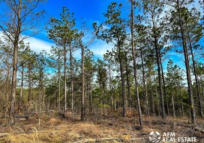 Photo Mar 15 2023 4 51 19 PM