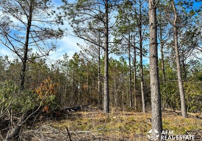 Photo Mar 15 2023 4 51 25 PM