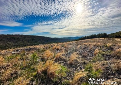 Photo Mar 15 2023 5 08 49 PM