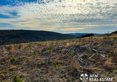 Photo Mar 15 2023 5 16 53 PM