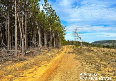 Photo Mar 15 2023 5 17 15 PM