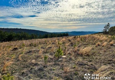 Photo Mar 15 2023 5 12 40 PM