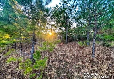Photo Mar 15 2023 7 56 24 AM
