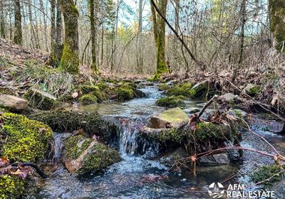 Photo Mar 15 2023 8 04 43 AM