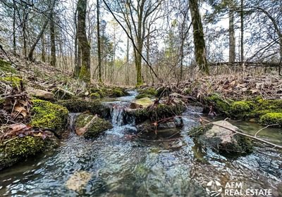 Photo Mar 15 2023 8 04 53 AM