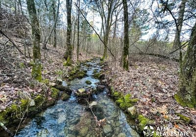Photo Mar 15 2023 8 05 07 AM