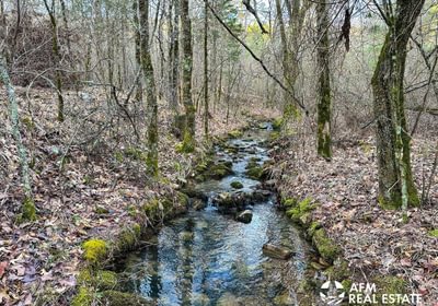 Photo Mar 15 2023 8 07 15 AM