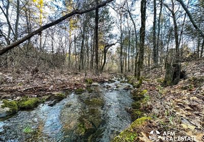 Photo Mar 15 2023 8 03 15 AM