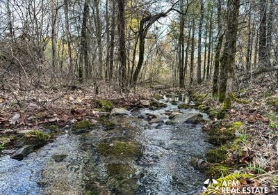 Photo Mar 15 2023 8 03 23 AM