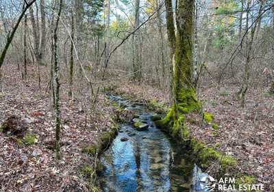 Photo Mar 15 2023 8 03 59 AM