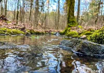 Photo Mar 15 2023 8 03 51 AM